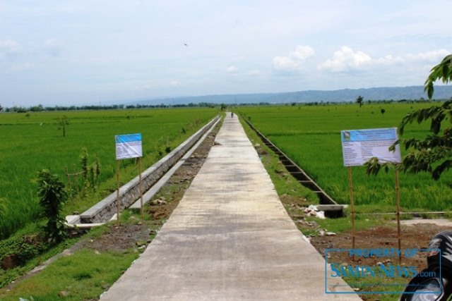 Dewan Pati Usulkan Pembangunan Jalan Usaha Tani