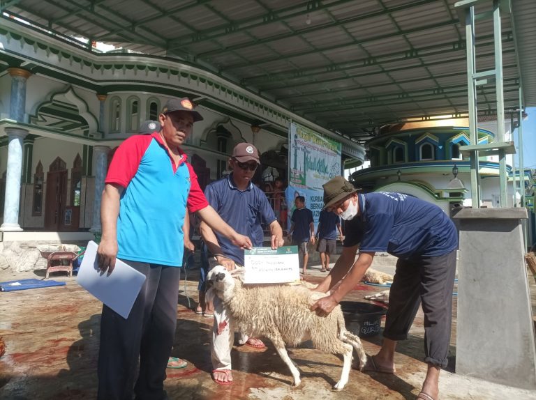 Baznas RI Salurkan 41 Kambing Kurban ke Dua Desa di Pati