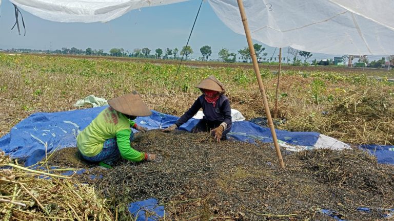 DPRD Usulkan Prakarsa Raperda Perlindungan Petani