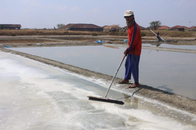 DPRD Bentuk Raperda Lindungi Pengusaha Garam dan Ikan