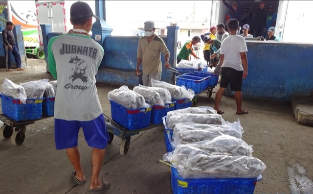 Dewan Beber Tantangan yang Dihadapi Pelaku Usaha Perikanan dan Petani Garam