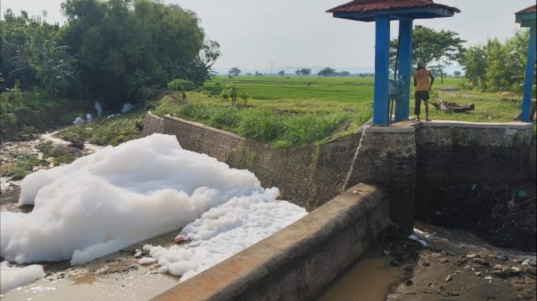 DLH Uji Lab Soal Fenomena Busa Tebal di Sungai Bibis Margorejo