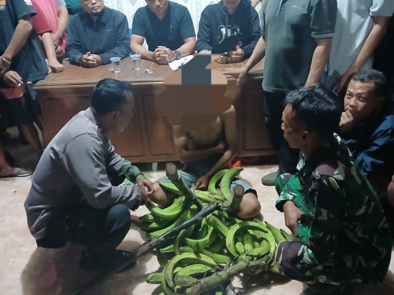 Ketangkap Maling Pisang Byar di Kebun Tlogowungu, Pelaku Diarak Warga